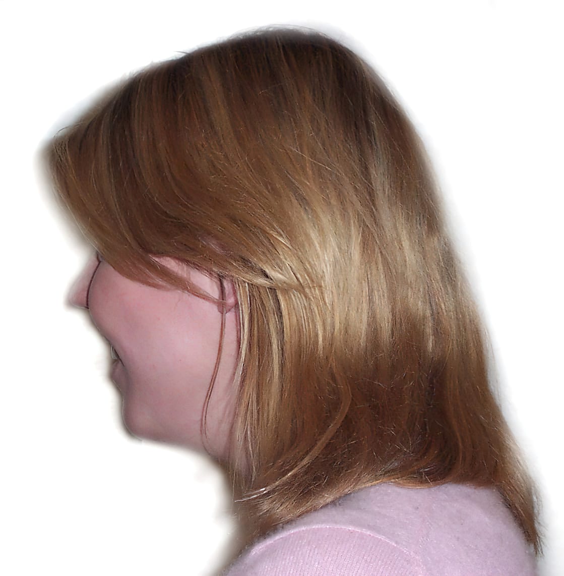 Before Picture - Shoulder Length to Long